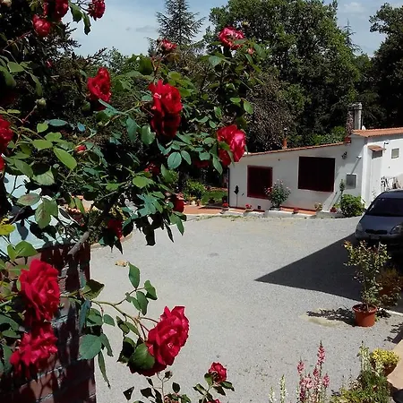 Apartment Boscodisotto Rapolano Terme